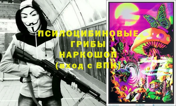 каннабис Аркадак