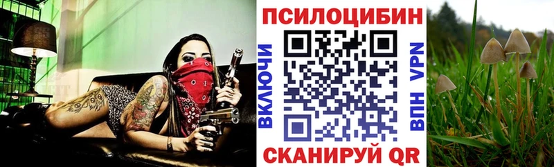 Псилоцибиновые грибы Psilocybine cubensis  Купить  Луга 